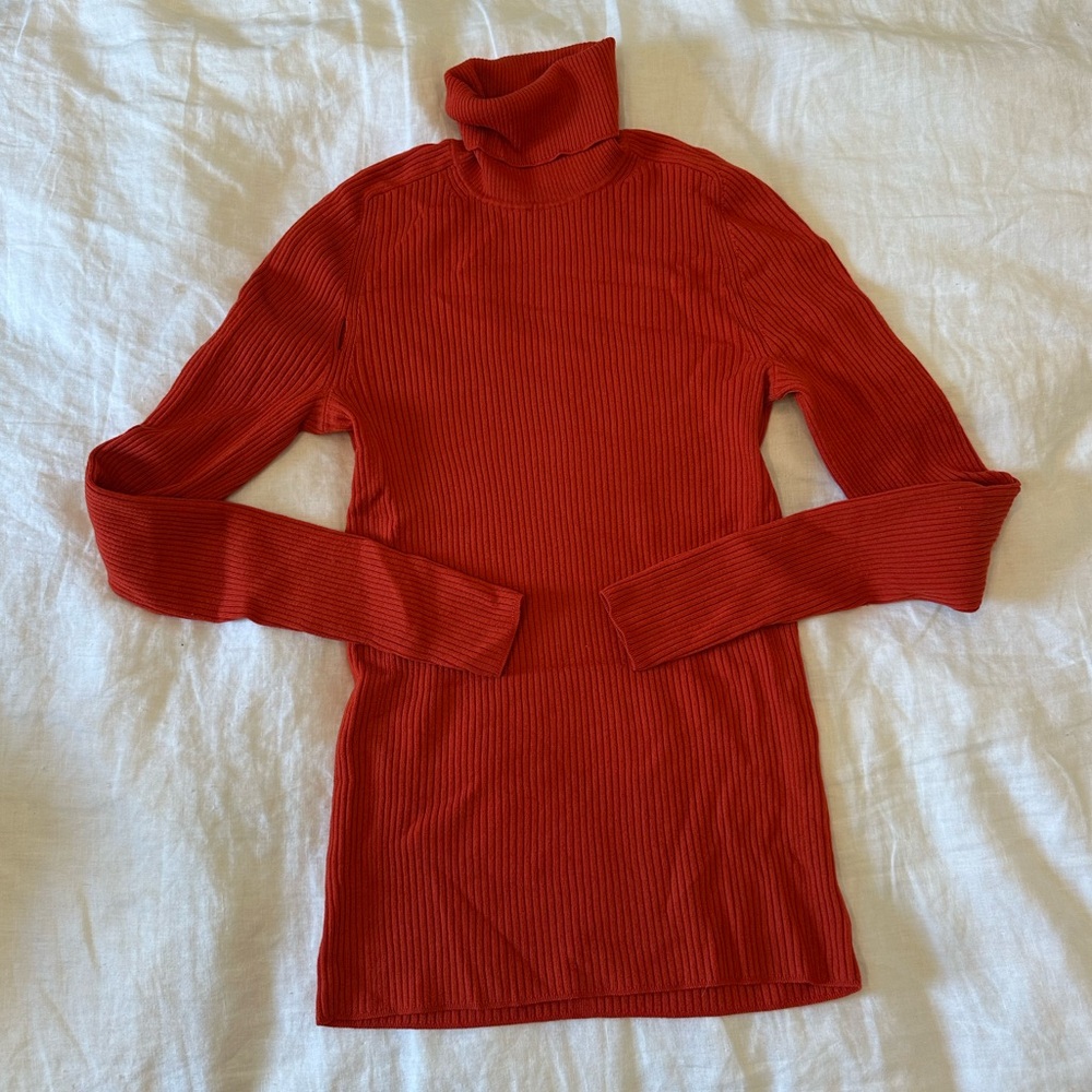 Everlane Italian Merino Ribbed Turtleneck